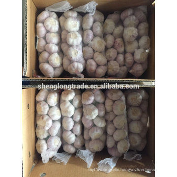 Normal white garlic 10kg per carton 2017 China Jinxiang fresh garlic